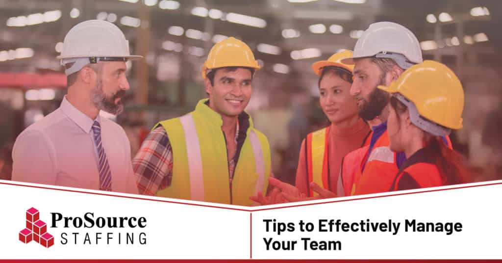 effectively manage team