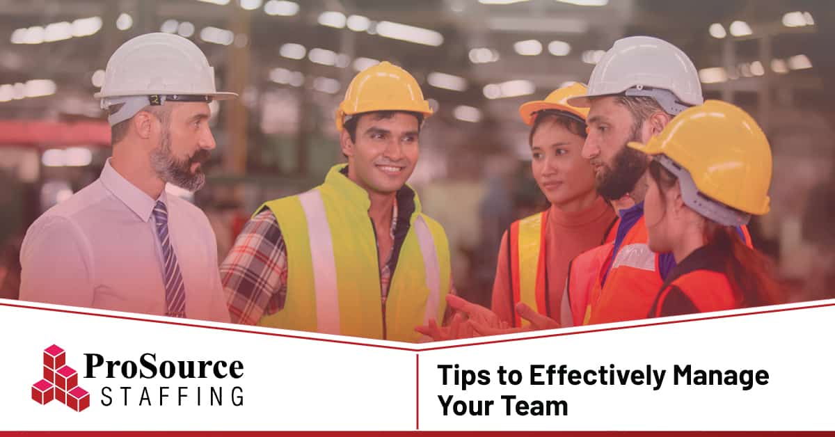 effectively manage team